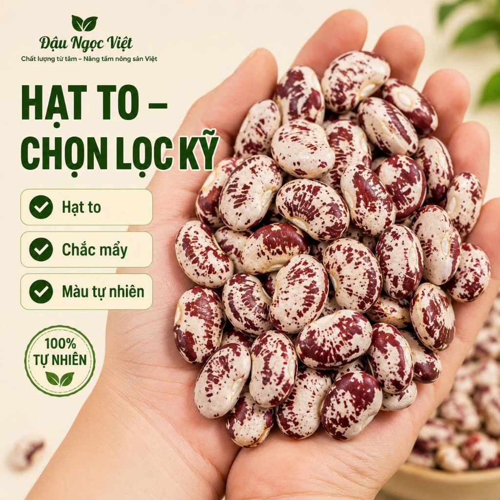 Đậu Ngự Loại 1 Hạt To Đều Thơm Bùi Nấu Chè Nấu Xôi Hầm Giò Heo Nguyên Liệu Làm Bánh