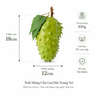 Trái Mãng Cầu Gai Dài trang trí Cao Cấp | Trái Cây Nhựa foam, Trái Cây trang trí, Trái Cây Mô Hình