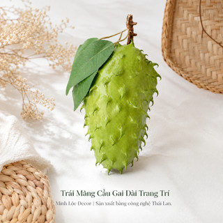 Trái Mãng Cầu Gai Dài trang trí Cao Cấp | Trái Cây Nhựa foam, Trái Cây trang trí, Trái Cây Mô Hình