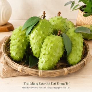 Trái Mãng Cầu Gai Dài trang trí Cao Cấp | Trái Cây Nhựa foam, Trái Cây trang trí, Trái Cây Mô Hình