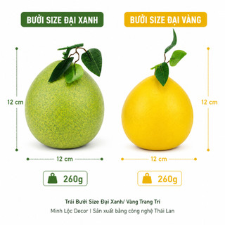 Trái Bưởi Xanh/ Vàng (Size Nhỏ, Trung, Đại) trang trí Cao cấp | Trái Cây Nhựa foam, Trái Cây trang trí, Trái Cây Mô Hình