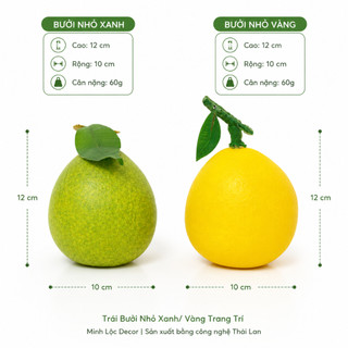 Trái Bưởi Xanh/ Vàng (Size Nhỏ, Trung, Đại) trang trí Cao cấp | Trái Cây Nhựa foam, Trái Cây trang trí, Trái Cây Mô Hình