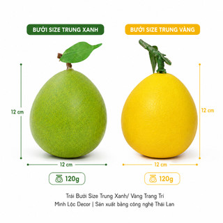 Trái Bưởi Xanh/ Vàng (Size Nhỏ, Trung, Đại) trang trí Cao cấp | Trái Cây Nhựa foam, Trái Cây trang trí, Trái Cây Mô Hình