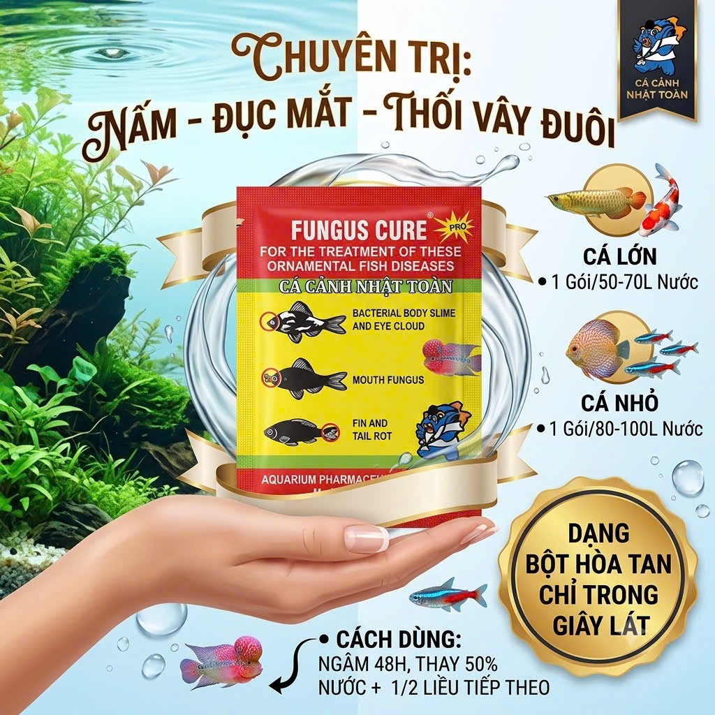 Fungus Cure Gói 5gram sản phẩm giúp diệt khuẩn, chữa đục mắt, thối vây, đuôi cho cá cảnh