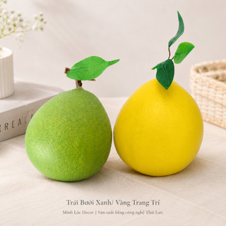 Trái Bưởi Xanh/ Vàng (Size Nhỏ, Trung, Đại) trang trí Cao cấp | Trái Cây Nhựa foam, Trái Cây trang trí, Trái Cây Mô Hình