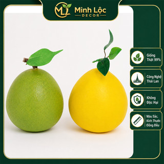 Trái Bưởi Xanh/ Vàng (Size Nhỏ, Trung, Đại) trang trí Cao cấp | Trái Cây Nhựa foam, Trái Cây trang trí, Trái Cây Mô Hình