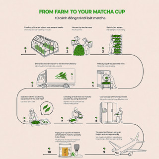 Bột Matcha Kimikura Sato Matcha Nguyên Chất Mang Đặc Trưng Hương Hoa Cỏ Vị Thơm Ngọt Nhẹ Hũ 30g M30