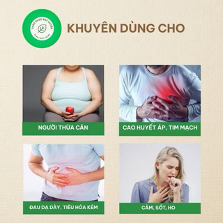 Cỏ Ngọt Khô 1kg Nguyên Chất | Dược Liệu Khô Chọn Lọc | Thảo Dược Đạt Huyền