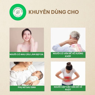 Nghệ Vàng Khô 500g Nguyên Chất | Dược Liệu Khô Chọn Lọc | Thảo Dược Đạt Huyền