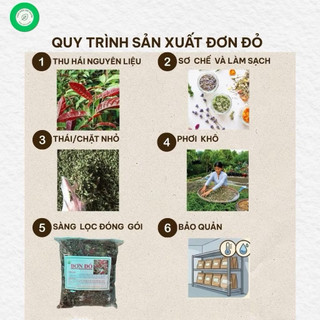 Lá Đơn Đỏ Khô 1kg Nguyên Chất | Dược Liệu Khô Chọn Lọc | Thảo Dược Đạt Huyền