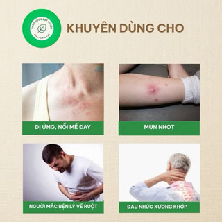Lá Đơn Đỏ Khô 1kg Nguyên Chất | Dược Liệu Khô Chọn Lọc | Thảo Dược Đạt Huyền
