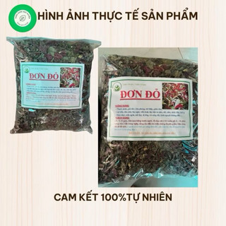 Lá Đơn Đỏ Khô 1kg Nguyên Chất | Dược Liệu Khô Chọn Lọc | Thảo Dược Đạt Huyền