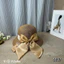 👒👒Mũ tròn cói nơ tơ đính ngọc bản to