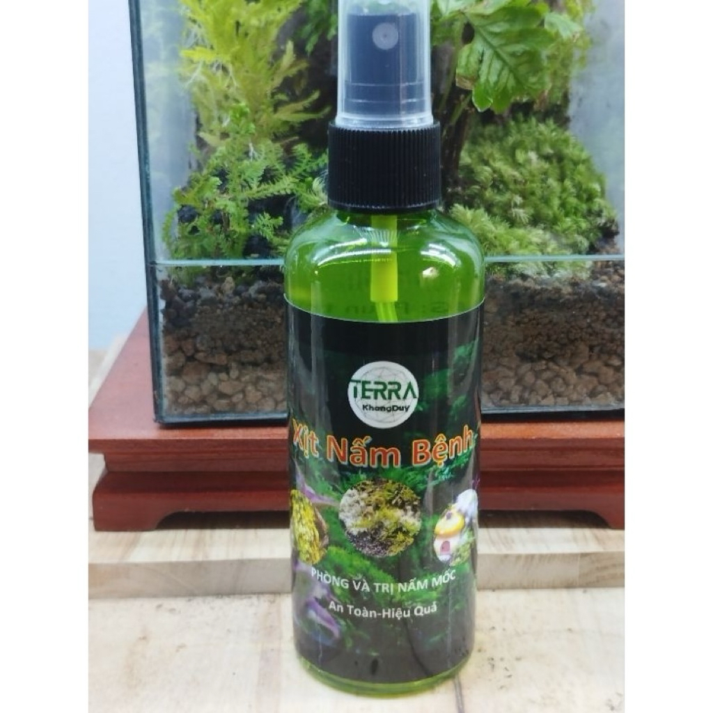 Xịt Diệt Nấm Bệnh, Nấm Mốc Lũa, Bể Terrarium, Dưỡng Rêu Cây, Mua Sỉ inbox