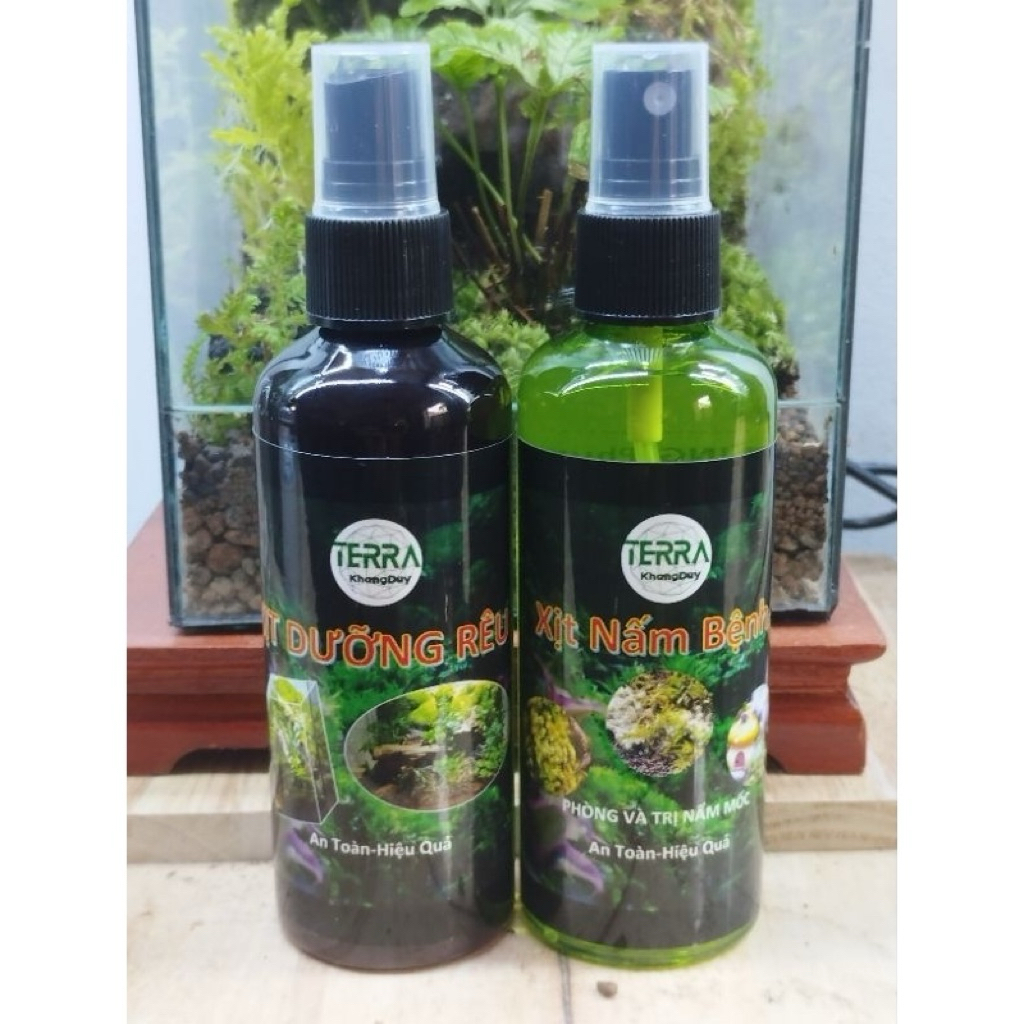 Xịt Diệt Nấm Bệnh, Nấm Mốc Lũa, Bể Terrarium, Dưỡng Rêu Cây, Mua Sỉ inbox