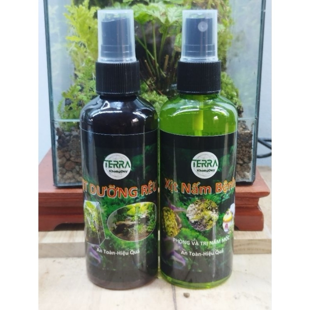 Xịt Diệt Nấm Bệnh, Nấm Mốc Lũa, Bể Terrarium, Dưỡng Rêu Cây, Mua Sỉ inbox