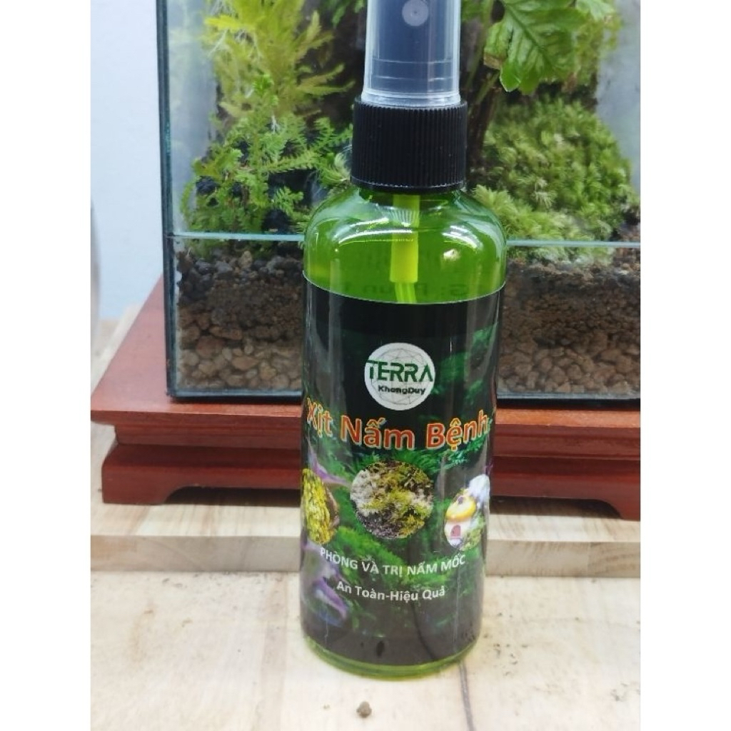 Xịt Diệt Nấm Bệnh, Nấm Mốc Lũa, Bể Terrarium, Dưỡng Rêu Cây, Mua Sỉ inbox