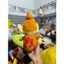 Gấu 2hand Thú bông Pokemon Chimchar