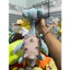 Gấu 2hand Thú nhồi bông Pokémon Lapras màu xanh dương đáng yêu có kích thước từ 20 đến 45cm.