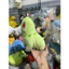 Gấu 2hand gấu bông nhân vật Pokémon Chikorita, có màu xanh lá cây đặc trưng với chiếc lá trên đầu.