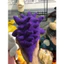 Gấu 2hand búp bê nhồi bông Pokémon Gengar với chất liệu vải xù và nụ cười đặc trưng.