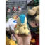 Gấu 2hand gấu bông Pokémon Cyndaquil với phần đuôi lửa bằng vải nhung mềm mại.