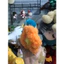 Gấu 2hand gấu bông Pokémon Cyndaquil với phần đuôi lửa bằng vải nhung mềm mại.