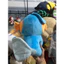 Gấu 2hand gấu bông Pokémon Mudkip với màu xanh dương đặc trưng và đôi vây màu cam.