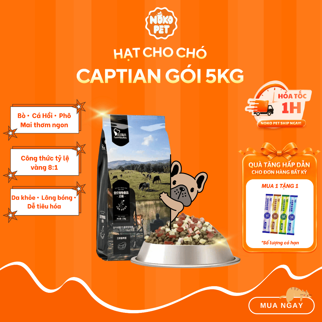 (Bao 5KG Tặng Sữa Tắm) Hạt Chó Captain Dinh Dưỡng Mix Bò - Cá - Phô Mai Cải Thiện Tiêu Hóa Phù Hợp Chó Mọi Lứa Tuổi