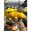 Gấu 2hand gấu bông Pokemon Raichu