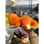 Gấu 2hand thú bông Pokemon Charmander đang ngủ với chi tiết đuôi lửa đặc trưng.