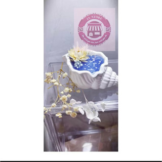 Nến Thơm Vỏ Sò LUNA STORE