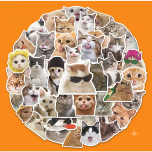50 Cái Sticker Meme Mèo Nhiều Họa Tiết Chống Nước, Dán Trang Trí Laptop, Mũ Bảo Hiểm, Vali, Xe Ga