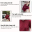 Áo thun nữ, áo phông nữ trơn đỏ đô form rộng basic chất cotton thoáng mát dễ phối đồ Fizano HCOM25001