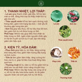 Trà Tiêu Thực - Thanh nhẹ cơ thể - giảm tích trệ bụng, eo, giúp nhẹ bụng dễ tiêu - Triệu Quang Đường