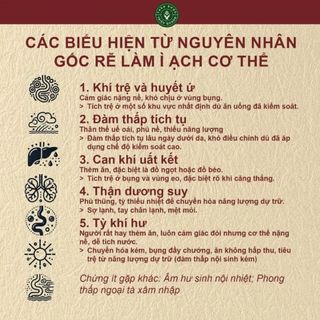 Trà Tiêu Thực - Thanh nhẹ cơ thể - giảm tích trệ bụng, eo, giúp nhẹ bụng dễ tiêu - Triệu Quang Đường