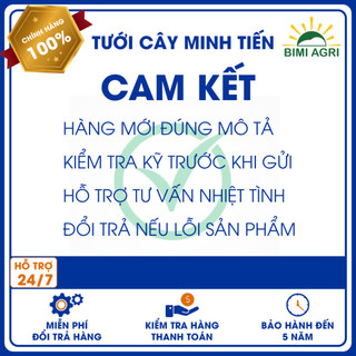 Combo 20 bịt lỗ Ldpe 6 (bịt lỗ từ ống ra dây dẫn béc 6ly )