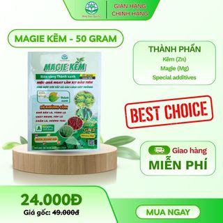 MAGIE KẼM - B.IẾN V.ÀNG THÀNH XANH