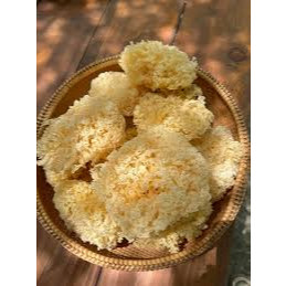 Nấm Tuyết Khô Phú Gia 40g - Xanhsam Natural & Organic