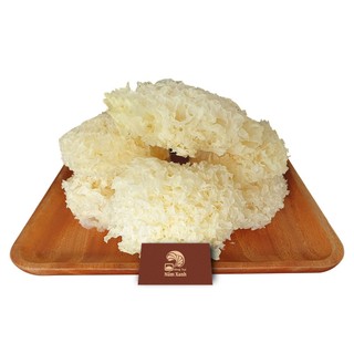 Nấm Tuyết Khô Phú Gia 40g - Xanhsam Natural & Organic