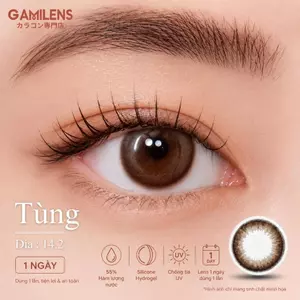 Lens 1 ngày Gamilens TÙNG 14.2mm - Nâu Trầm Ấm Có Độ Hàn Quốc