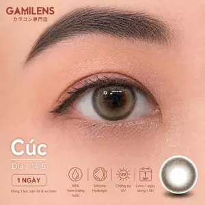 Lens 1 ngày Gamilens CÚC 14. - Nâu Choco Giãn to Baby Có Độ Hàn Quốc