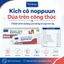 Virbac Nutri Plus Gel dinh dưỡng cao cấp cho chó mèo – bổ sung năng lượng, hỗ trợ phục hồi sức khỏe