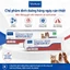 Virbac Nutri Plus Gel dinh dưỡng cao cấp cho chó mèo – bổ sung năng lượng, hỗ trợ phục hồi sức khỏe
