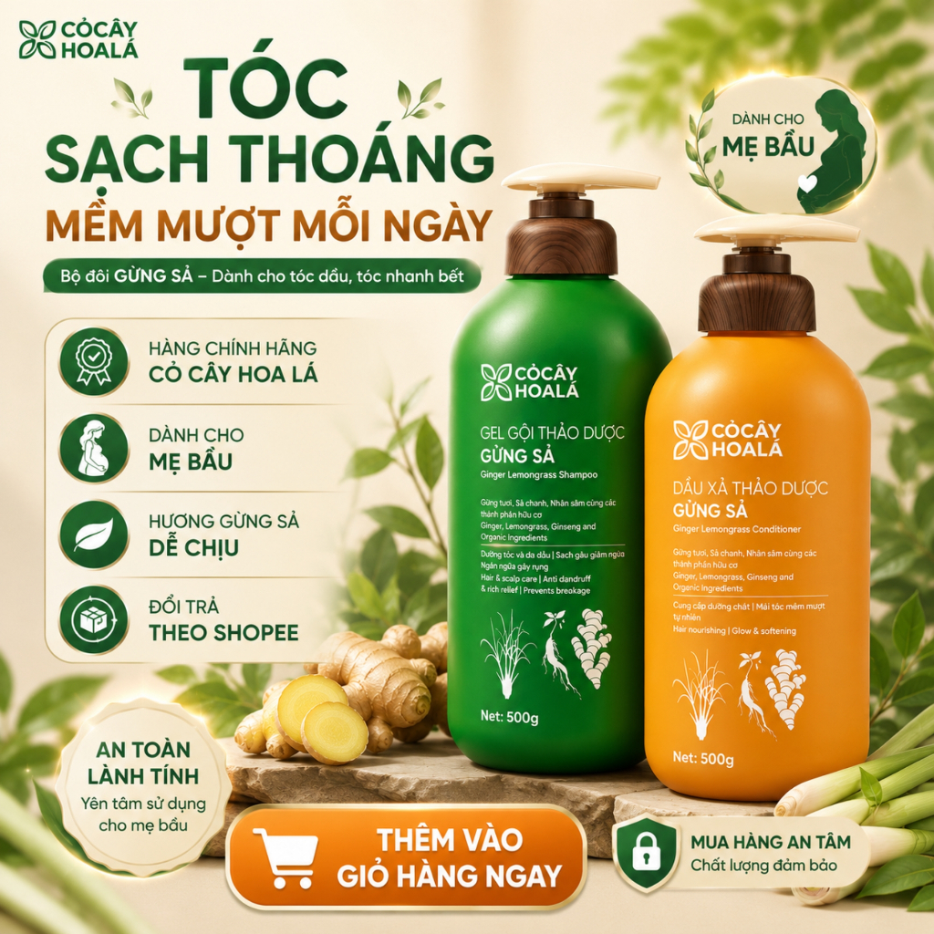 Dầu gội gừng sả thiên nhiên cỏ cây hoa lá giảm tóc gãy rụng, Combo Dầu Gội Dầu xả cho tóc bết dầu