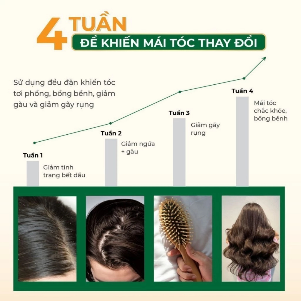 Dầu gội gừng sả thiên nhiên cỏ cây hoa lá giảm tóc gãy rụng, Combo Dầu Gội Dầu xả cho tóc bết dầu