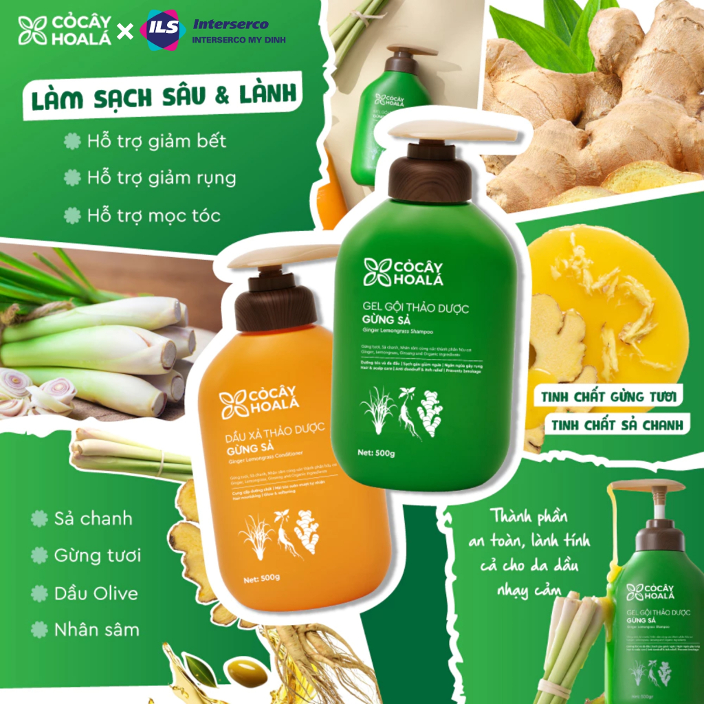 Dầu gội gừng sả thiên nhiên cỏ cây hoa lá giảm tóc gãy rụng, Combo Dầu Gội Dầu xả cho tóc bết dầu