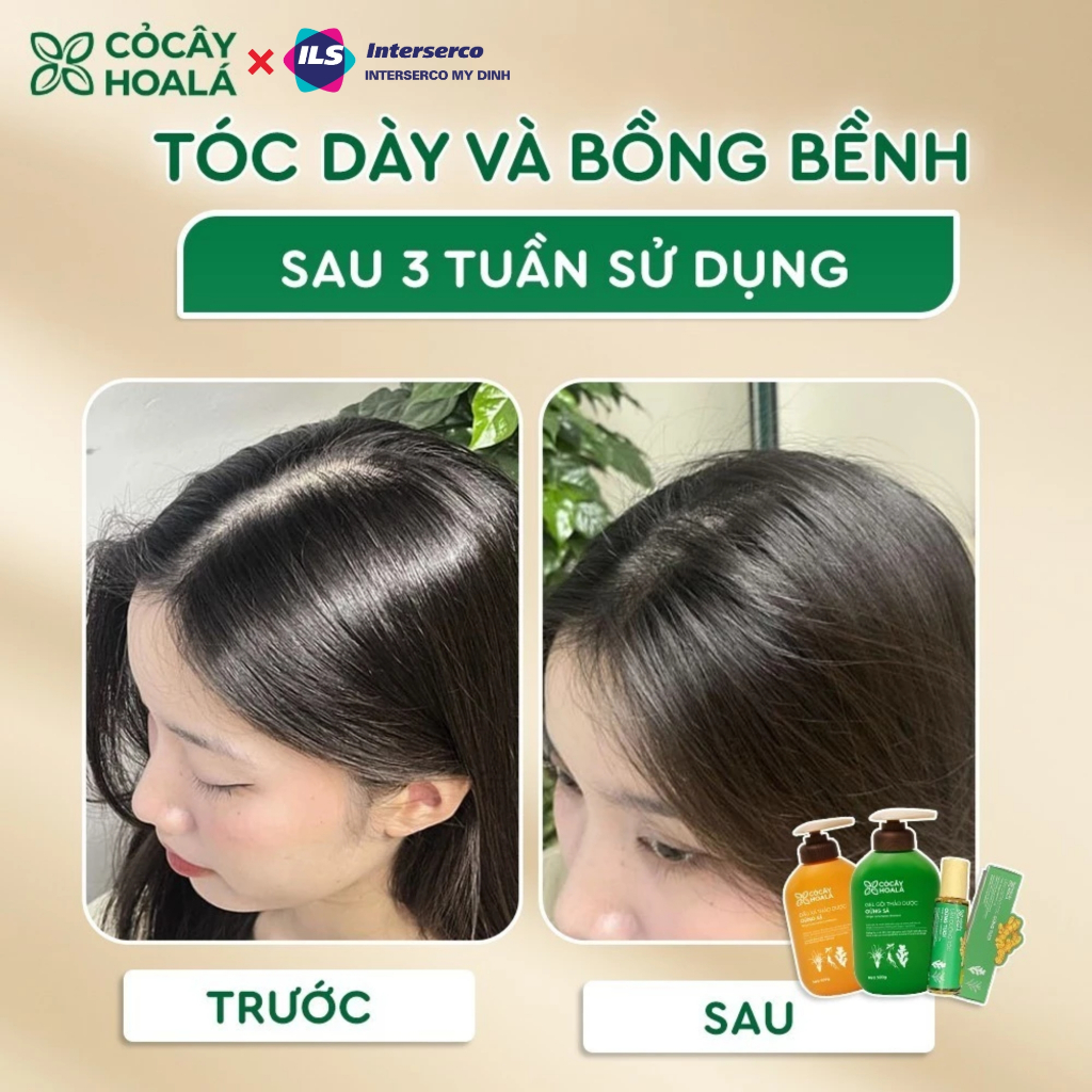 Dầu gội gừng sả thiên nhiên cỏ cây hoa lá giảm tóc gãy rụng, Combo Dầu Gội Dầu xả cho tóc bết dầu