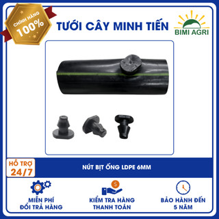 Combo 20 bịt lỗ Ldpe 6 (bịt lỗ từ ống ra dây dẫn béc 6ly )