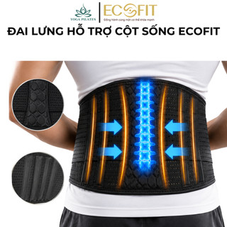 Đai Lưng Cột Sống ECOFIT, Hỗ Trợ Điều Trị Thoái Hóa Cột Sống, Thoát Vị Đĩa Đệm, Đau Thần Kinh Tọa
